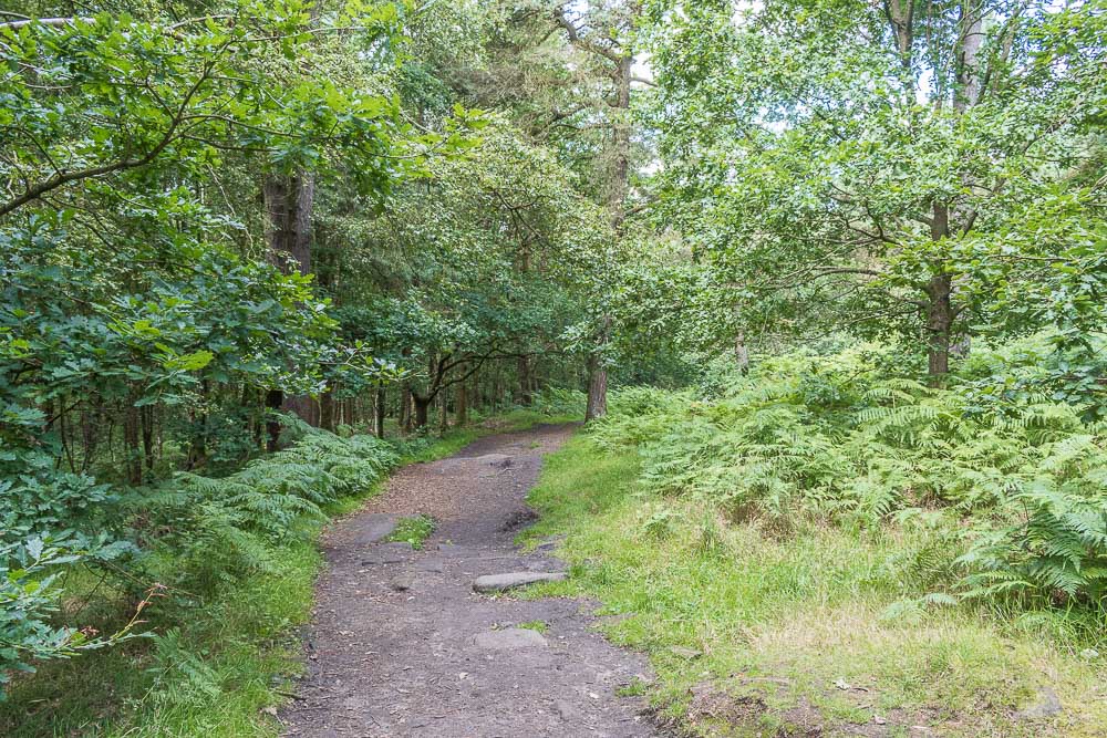Longshaw Longshaw
